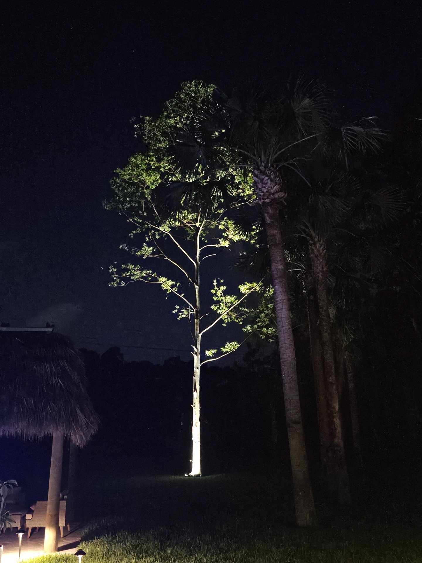 Landscape lighting and outdoor electrical installation